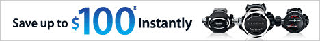 AL Reg Rebate